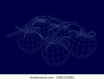 A close up of a bunch of tomatoes in a blue background.