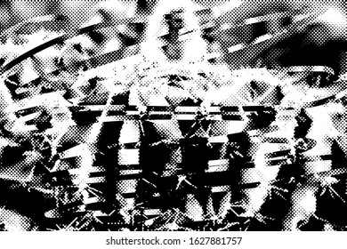 Close up of cacti. Background vector texture