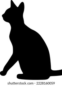 close up cat silhouette in nature