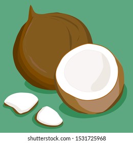 close up coconut and coconut milk illustration