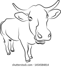 Nahaufnahme einer Kuhskizze, Illustration, Vektorgrafik auf weißem Hintergrund.