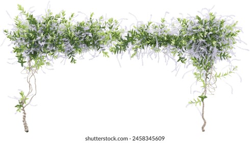 Close up creeper isolated in 3d rendering. Beauty plant png