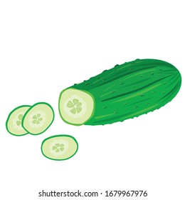Close up cucumber slices isolated on white background. Vector vegetable illustration in cartoon vector style. Design for salad, menu, kitchen decorations, kithen textile, ceramics