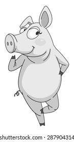 Close up cute pig standing alone