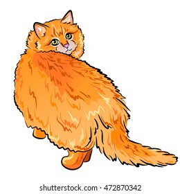 close up digital portrait of cute red longhair cat isolated on white background. Hand drawn sweet home pet. Greeting birthday card design. Clip art illustration, editable and resizeable graphics