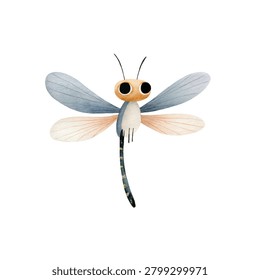 Close up of a dragonfly insect