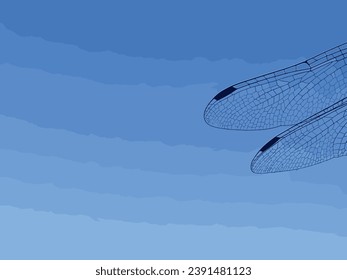 Close up Dragonfly wing isolated on blue background, Dragonfly wing on blue With work path. Editable illustration