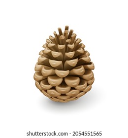 Cerca del cono de pino marrón seco. Fruta de madera decorativa única de un árbol de coníferas. Decoración navideña, concepto navideño decorativo sobre fondo blanco