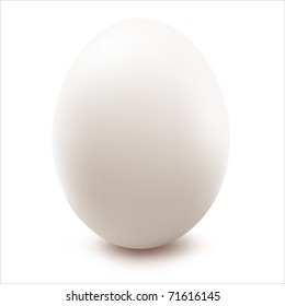 Close Up Of Egg, Isolated On White Background, Vector Illustration