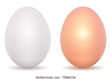 Close up of egg, isolated on white background, vector EPS version 8