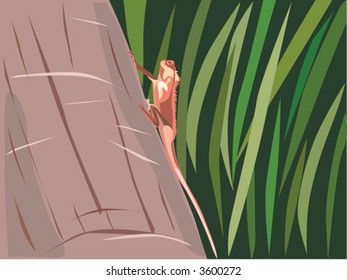 Close up of exotic lizard on huge trunk