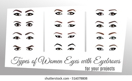 Close up of a female eye.Vector template eyes. Different types and color of women's eyes with eyebrows in flat style. Isolated on white Vector illustration