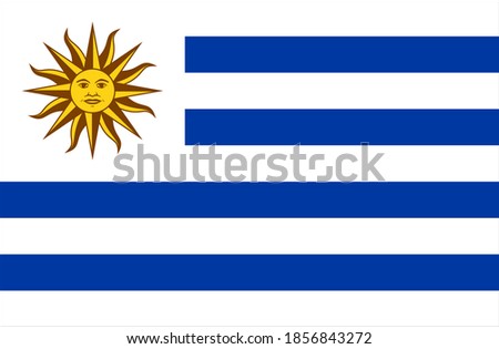 close up flag of Uruguay