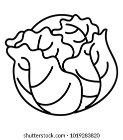 
Close up of fresh cabbage doodle icon
