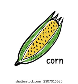 Close up of fresh corn doodle icon. Perfect for cards, logo, decorations, recipes, various designs.