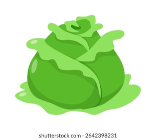 Close-up de repolho verde fresco com folhas na ilustração de fundo branco