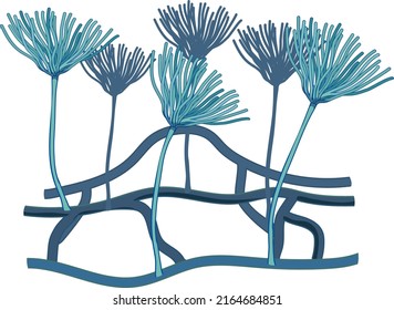 A close up fungus spores illustration