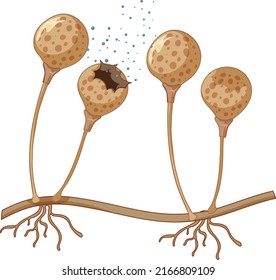 A close up fungus spores illustration