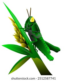 Close up of green grasshopper on rice stalk in cartoon style on white background illustration