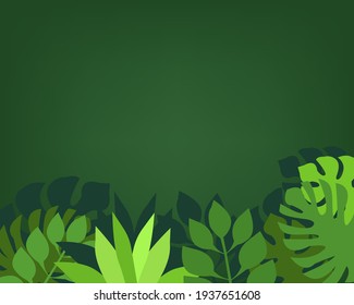 Cierre el fondo de la hoja verde con espacio para texto, vacaciones de verano en el concepto de temporada tropical
