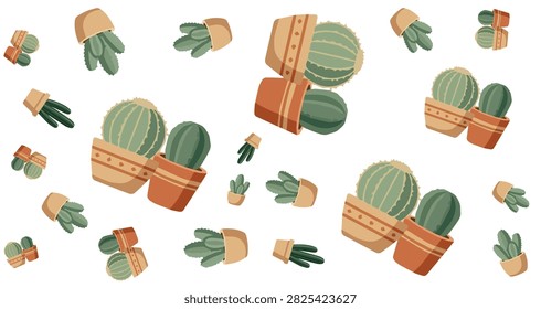 close up of green succulents and cacti in brown terracotta pots arranged on white background decorative indoor plants
