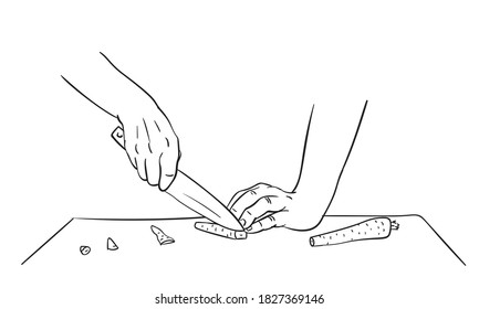 Close up hands cutting carrot with knife on chopping board, Vector drawing, Hand drawn illustration black ink sketch on white background. Cooking food basic knife skills