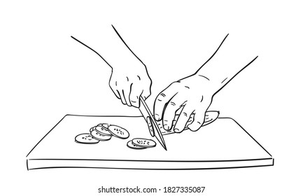 Close up hands cutting cucumber with knife on chopping board, Vector drawing, Hand drawn illustration black ink sketch on white background. Cooking food