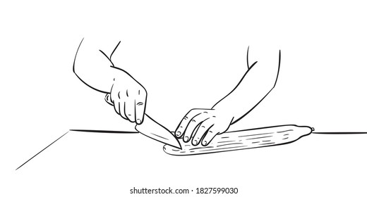 Close up hands cutting cucumber with knife on chopping board, Vector drawing, Hand drawn illustration black ink sketch on white background. Cooking food basic knife skills