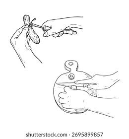 Feche as mãos cortando o pepino com a faca na tábua de cortar, desenho de vetor, esboço de tinta preta desenhado à mão no fundo branco. Cozinhar comida. Ilustração vetorial