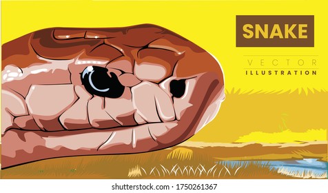 Close up head The Cobra viper snake Vector Illustration