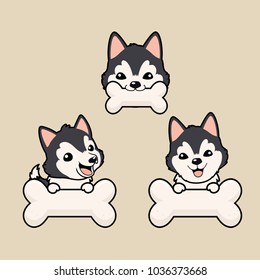 close up head shot , set of Cute cartoon character design black grey Siberian Husky dog ,bit white bone.