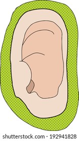 Close up of human ear with green background