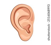 Close Up Human Ear icon. Part Of Body. Vector illustration.