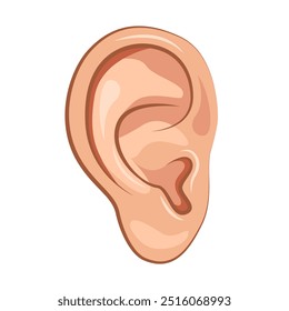 Close Up Human Ear icon. Part Of Body. Vector illustration.