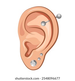 Close Up Human Ear icon. Part Of Body. Pierced ear with silver earring studs. Vector illustration.