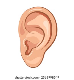 Close Up Human Ear icon. Part Of Body. Vector illustration.