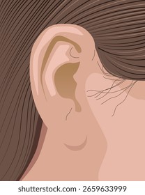Close Up Human Ear icon. Part Of Body. Vector illustration.
