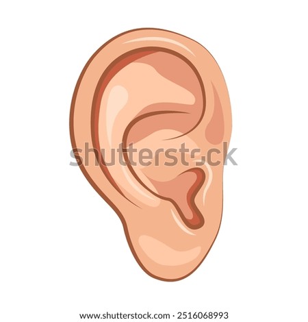 Close Up Human Ear icon. Part Of Body. Vector illustration.