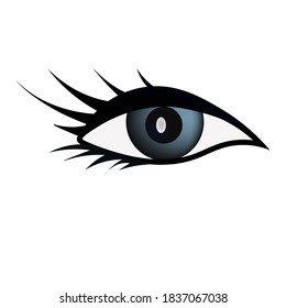 Close up human eye icon on white background.