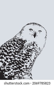 close up illustration of a snowy owl perching