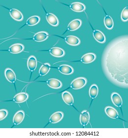 imagen de cierre del esperma listo para fertilizar un huevo hembra