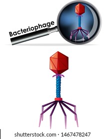 Close up isolated object of virus Bacteriophage illustration