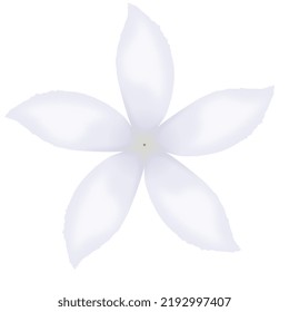 A close up of an isolated pinwheel flower, stylized. 