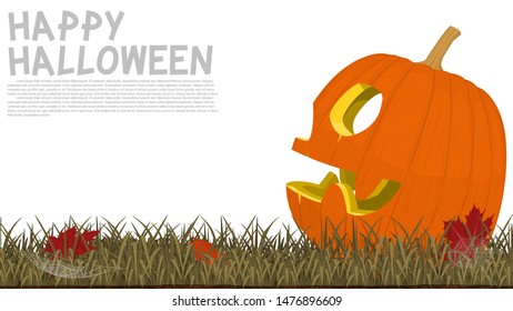 Close up of Jack-O'-lantern on grass
