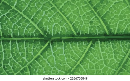 Cerrar el fondo vectorial de textura de hoja de fondo , papel tapiz de textura de hoja verde