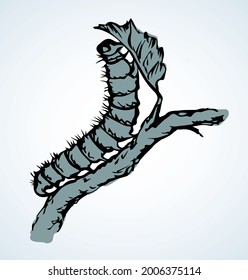 Close up macro view big wild garden green hairy butterfly grub leg on light white paper text space. Outline black ink hand drawn cute grow stick logo pictogram design in art doodle engrave retro style