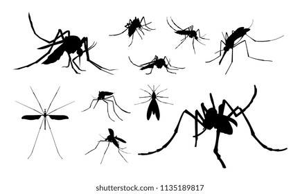 Close Up Mosquito Silhouette, Set of Mosquito Silhouette vector illustration