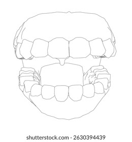 A close up of a mouth with teeth showing. The teeth are white and the mouth is open