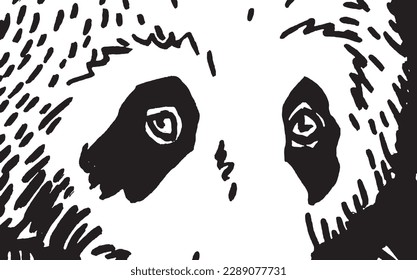 Close up muzzle of panda, eyes of panda abstract vector illustration