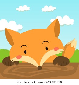 Close up picture of a cute red fox hold on to the wood.